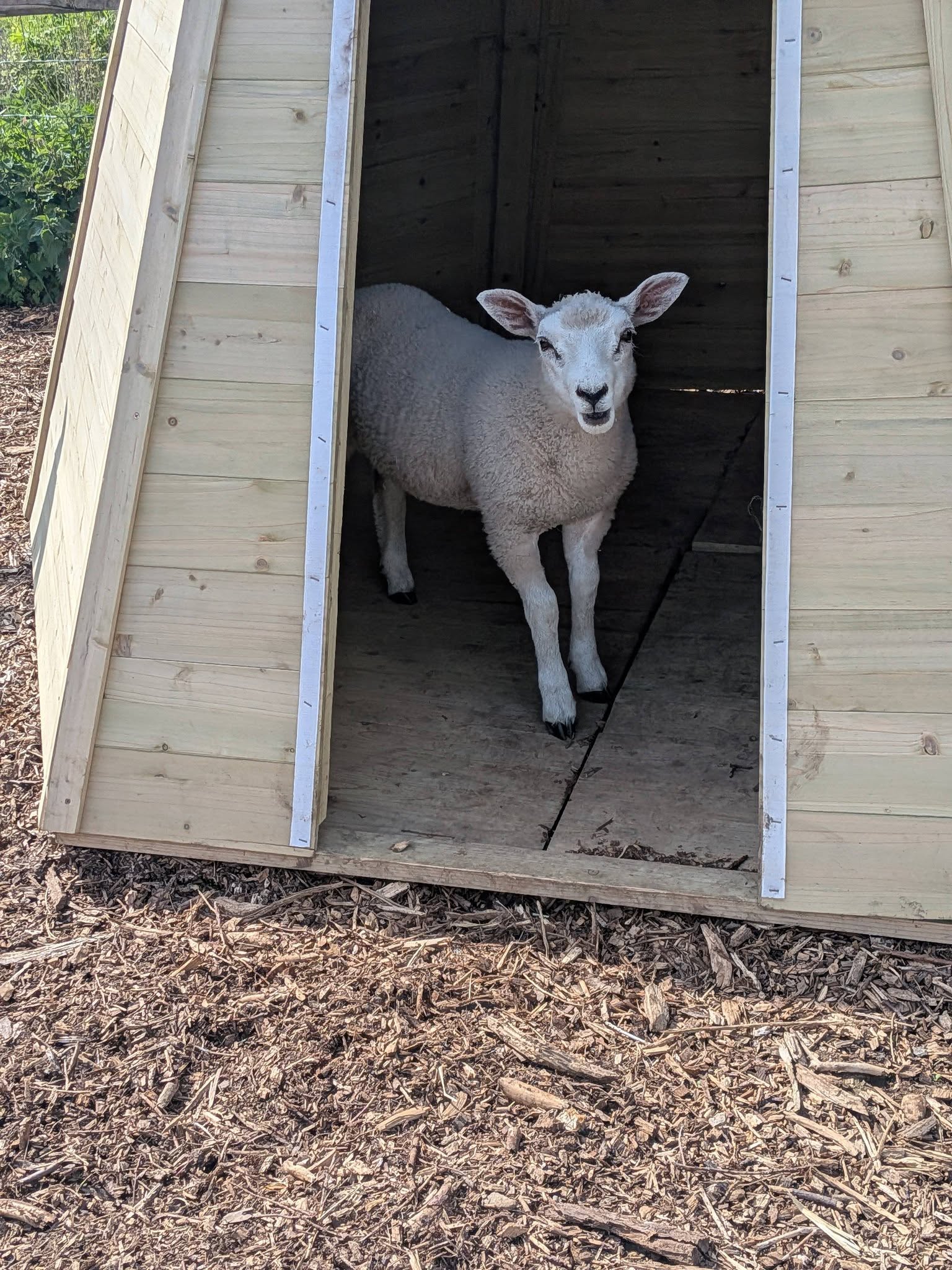 Exclusive Family Farm Visit – Calm, Open & Family-Led